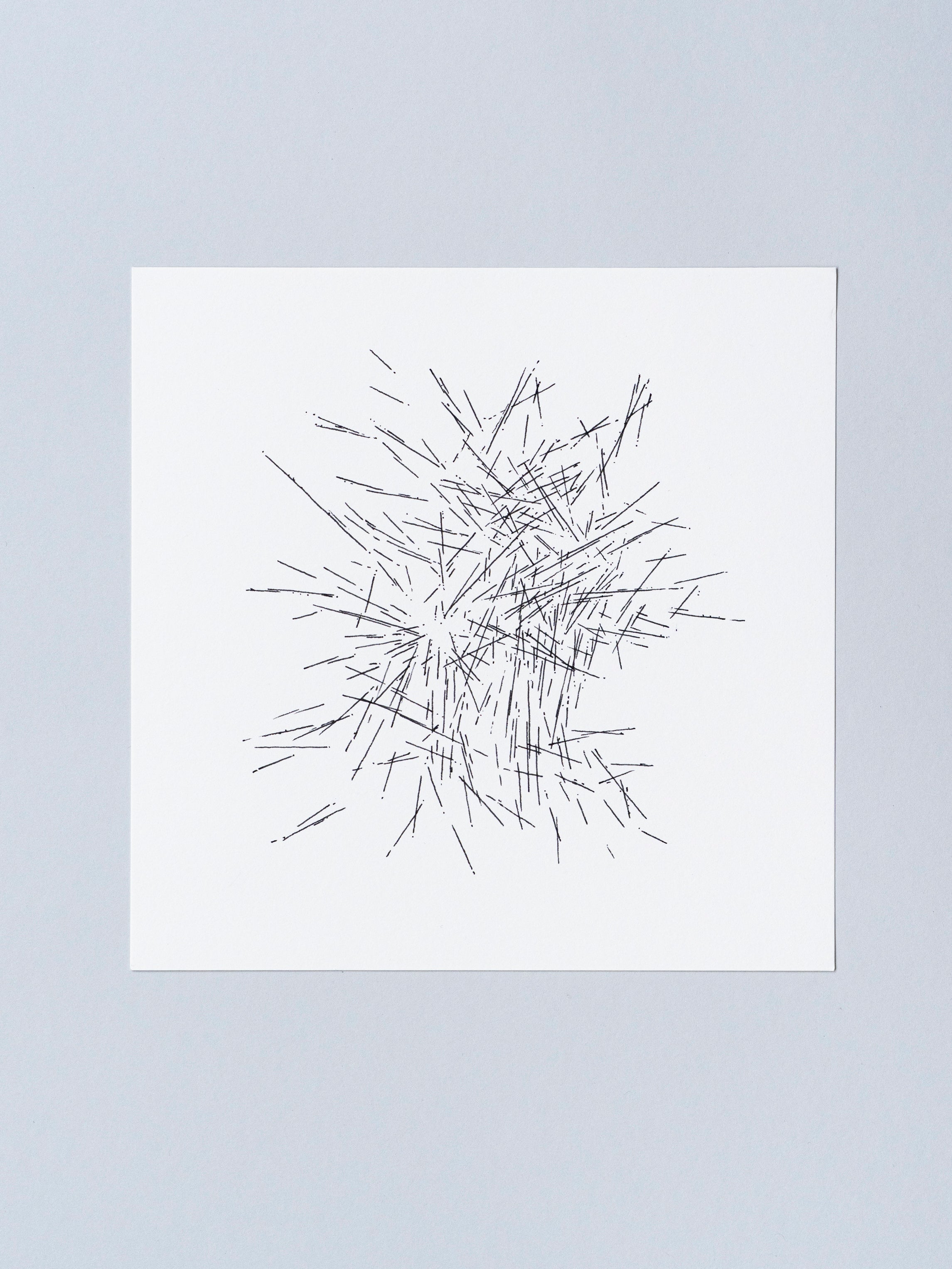 20x20