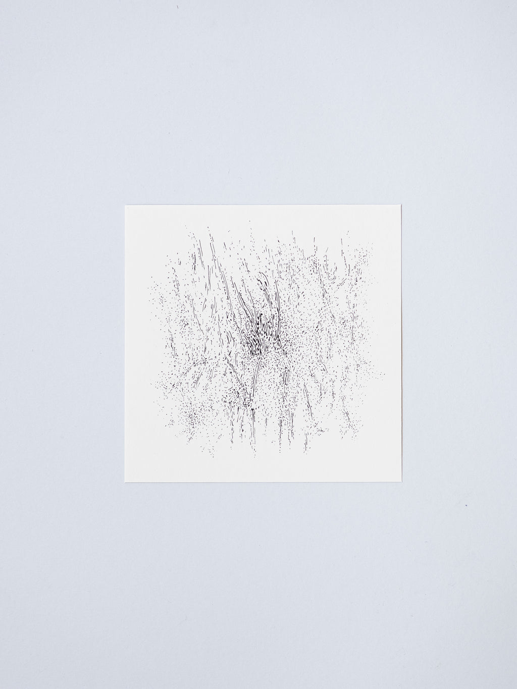 0306 | 2026