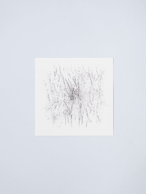 0306 | 2026