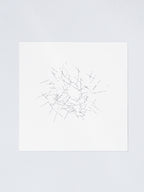 0503 | 2026