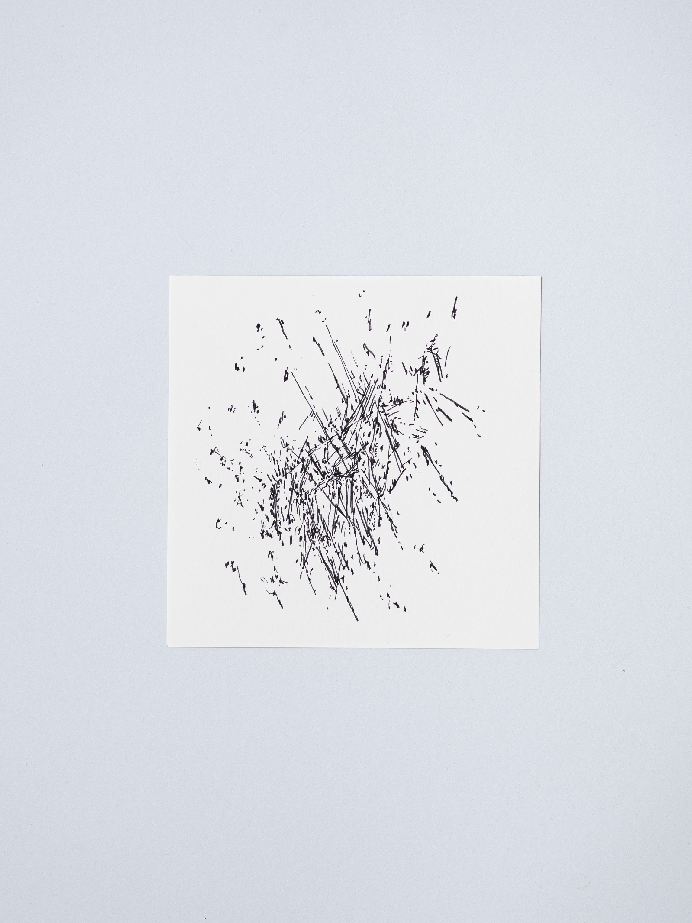 0506 | 2026