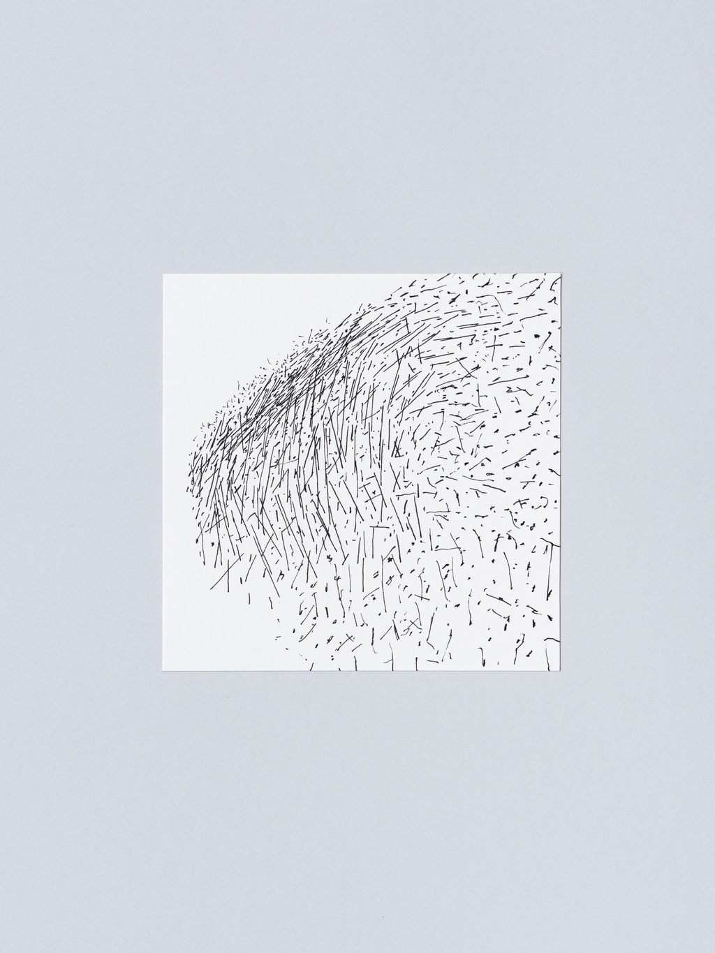 1003 | 2026