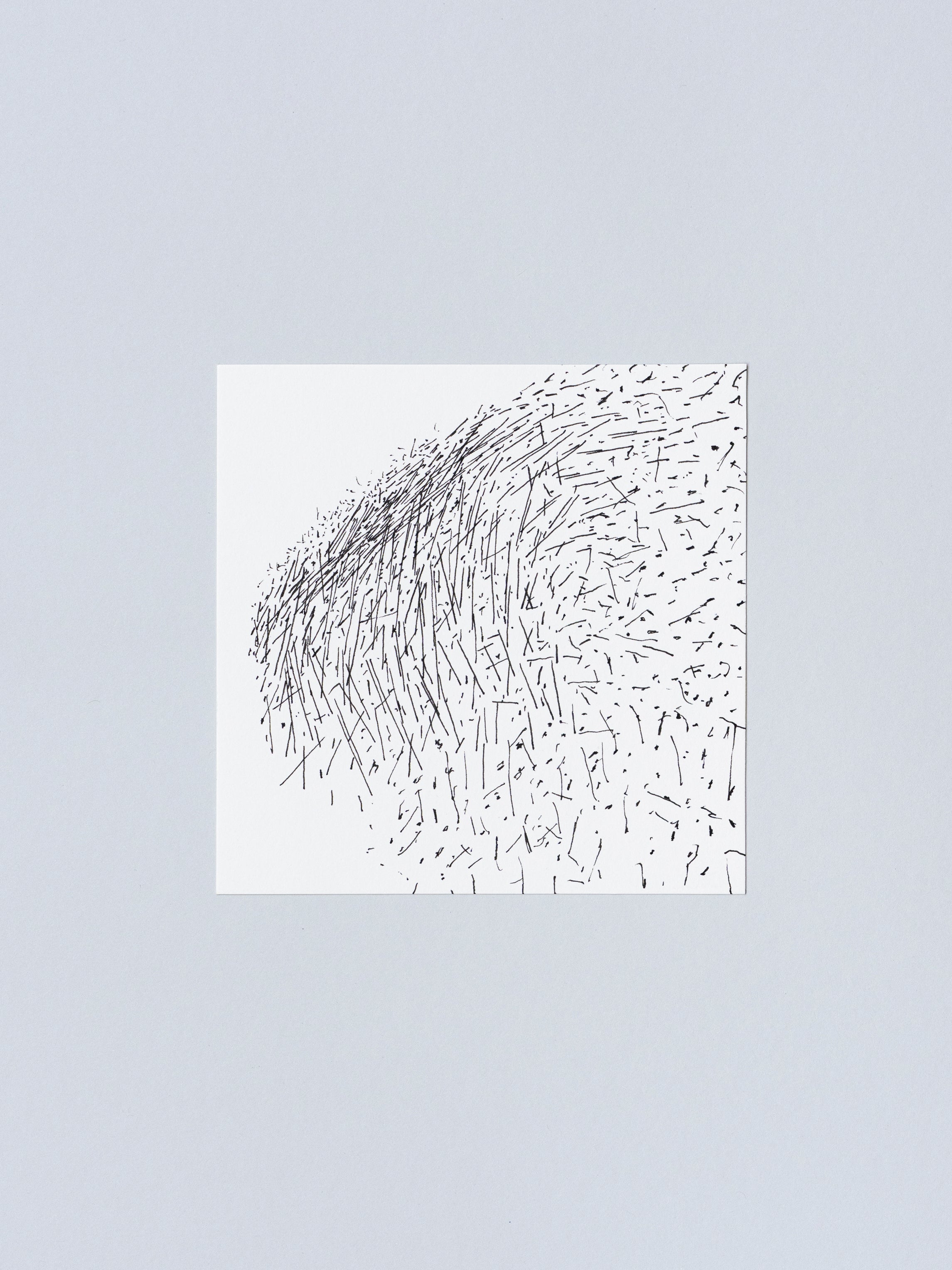 1003 | 2026