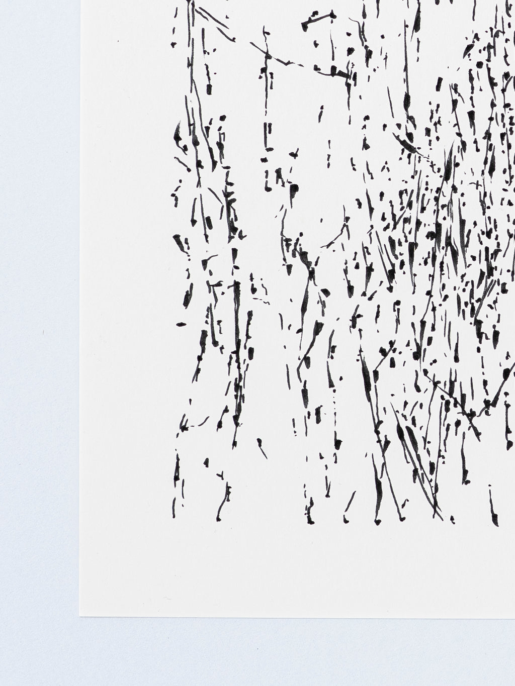 1006 | 2026