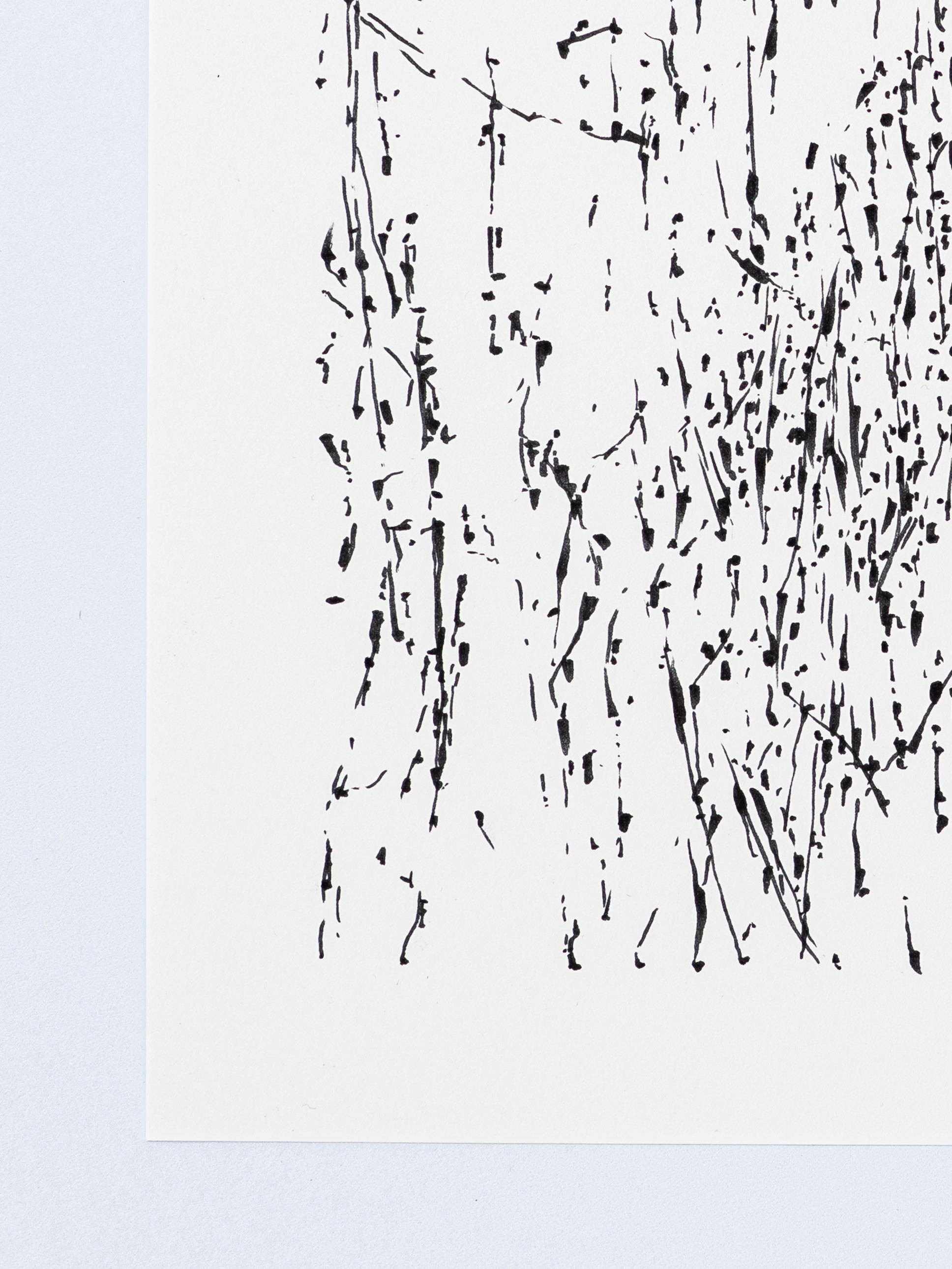 1006 | 2026