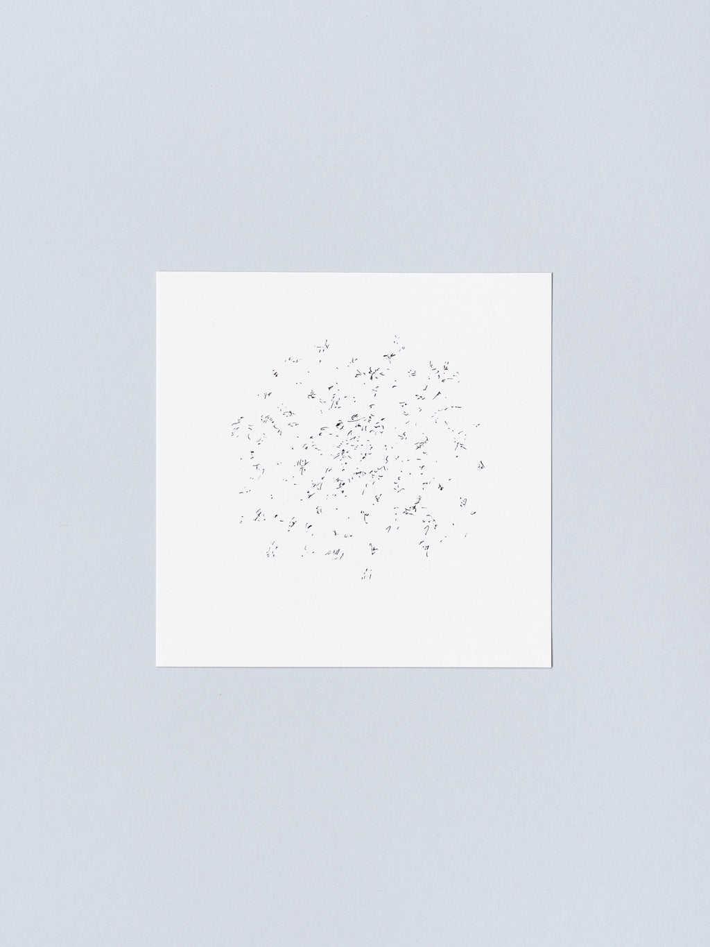 1012 | 2025