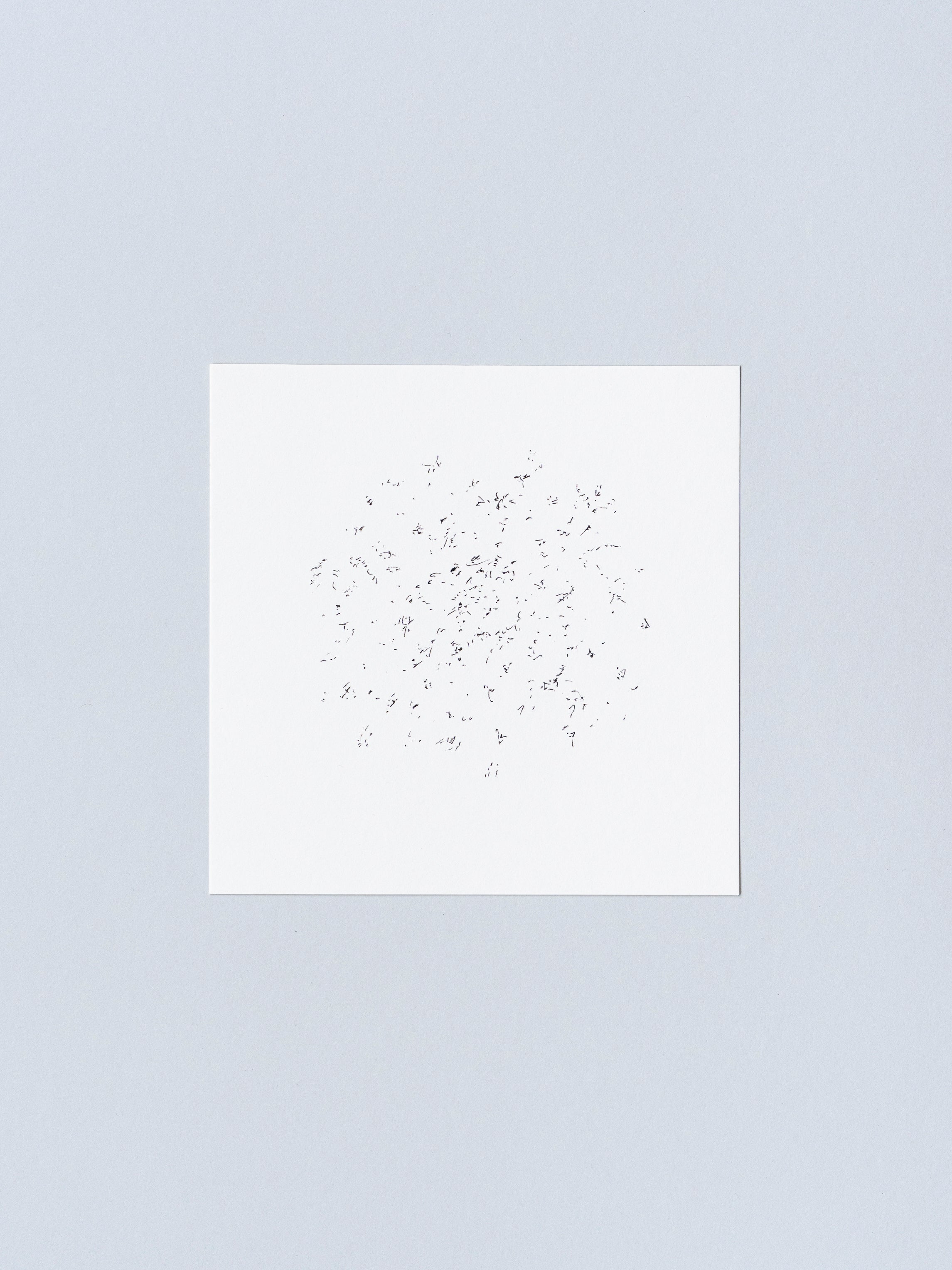 1012 | 2025
