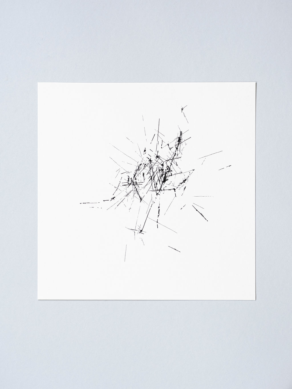 1304 | 2026