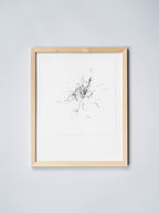 1304 | 2026
