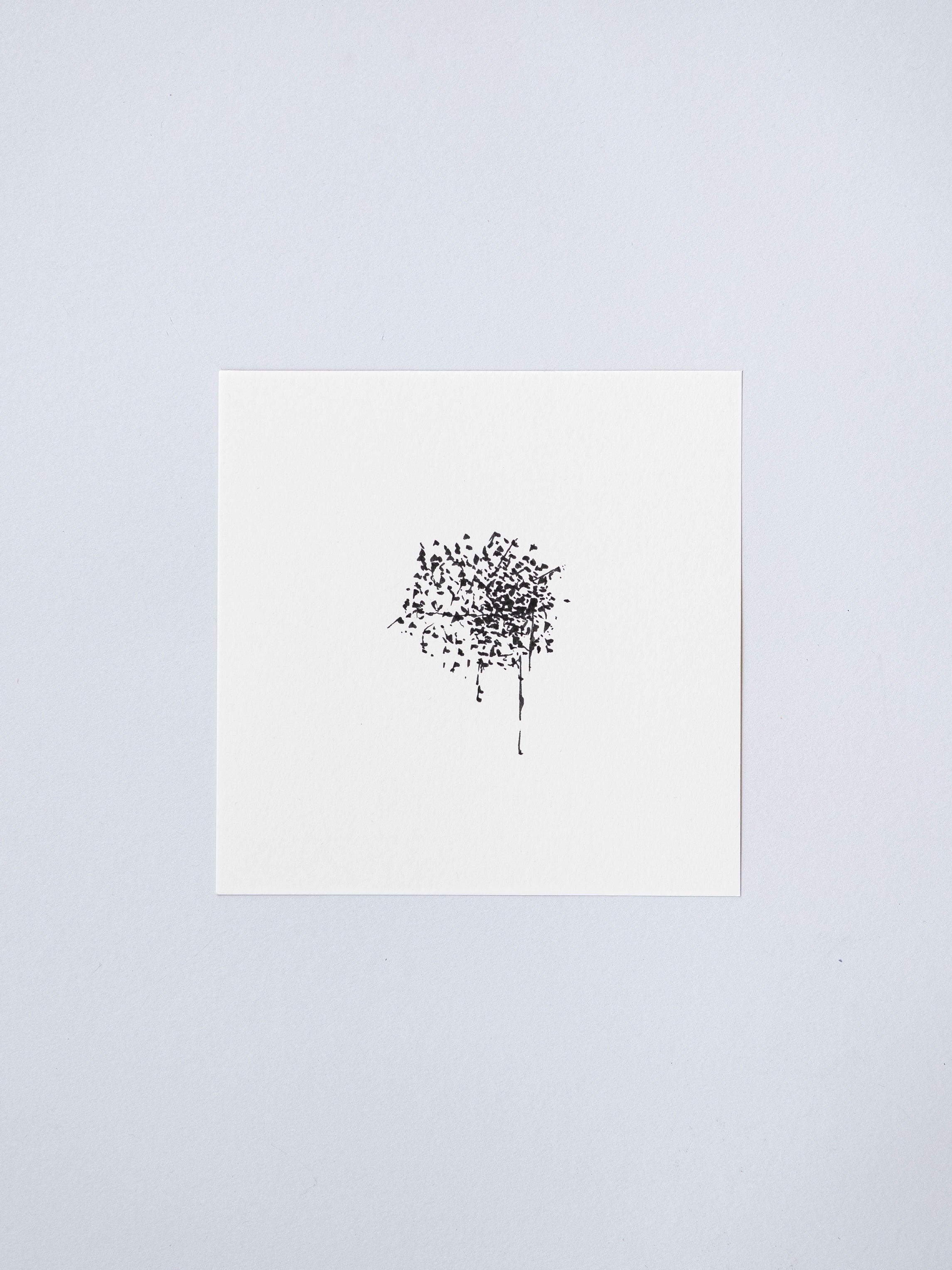 1306 | 2026