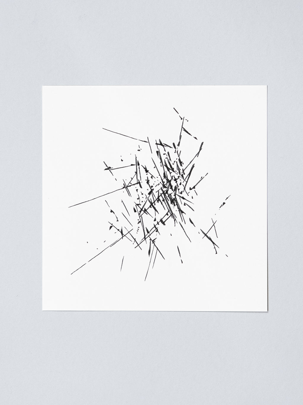 1404 | 2026