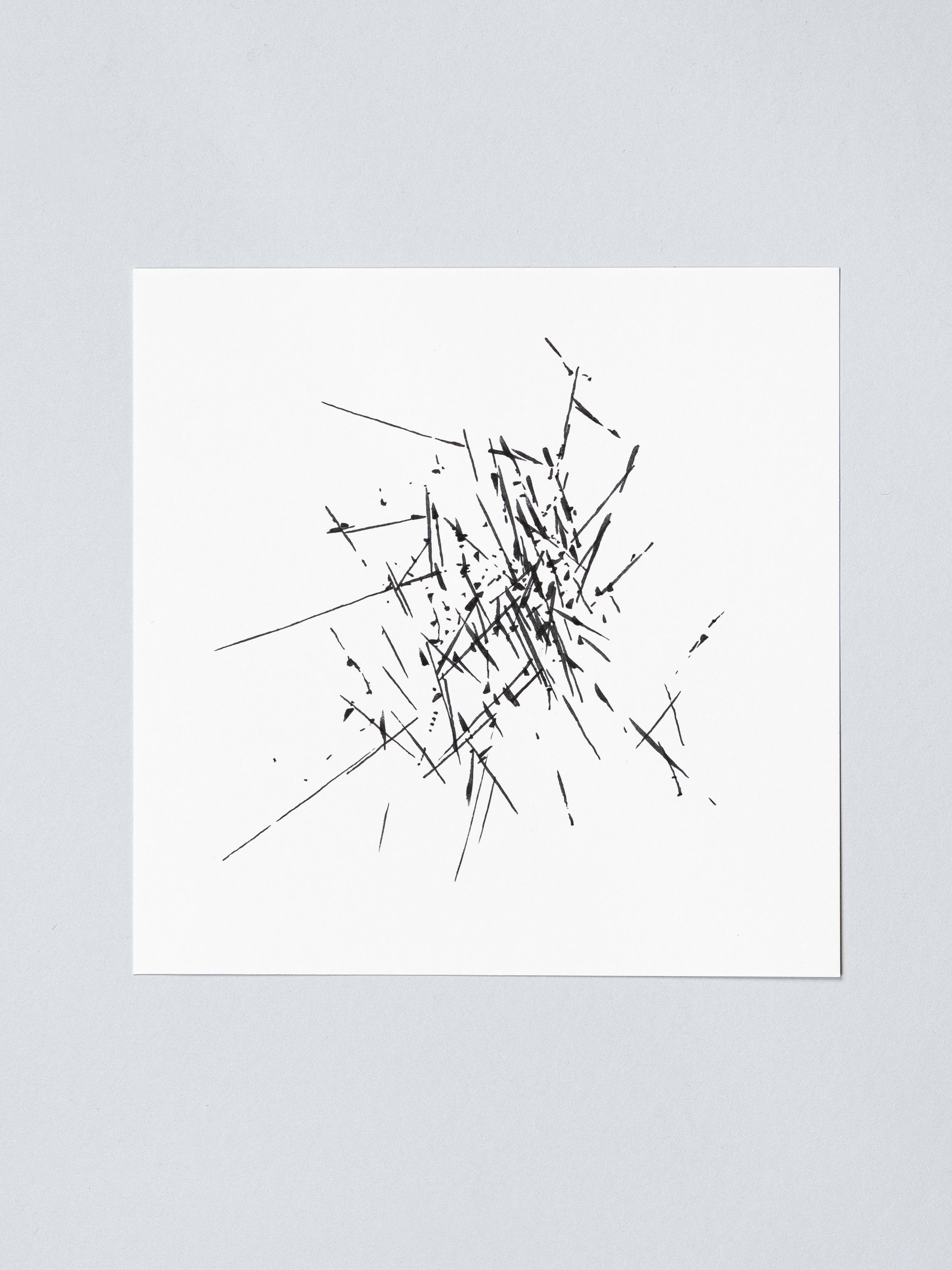 1404 | 2026
