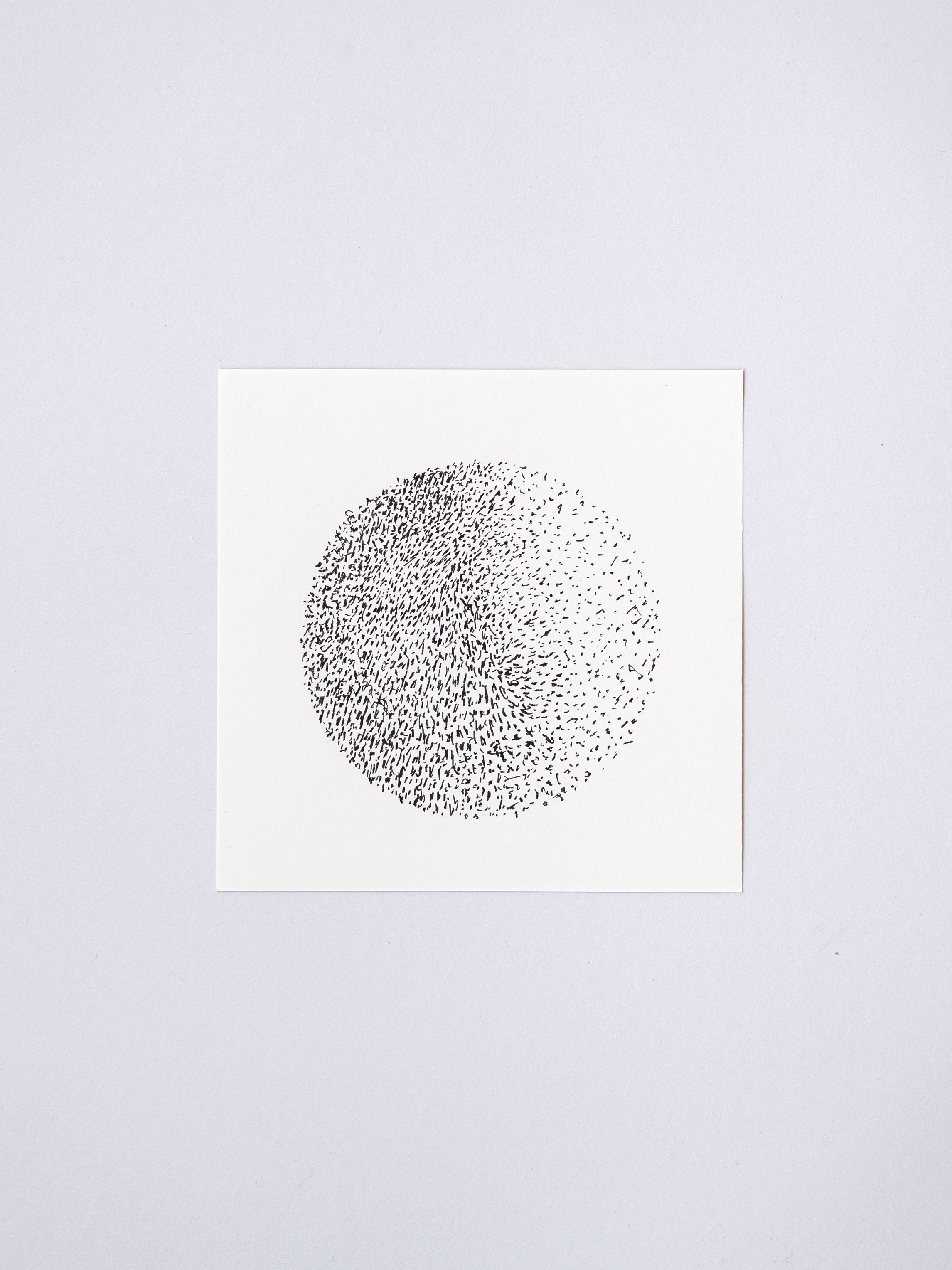 1606 | 2026