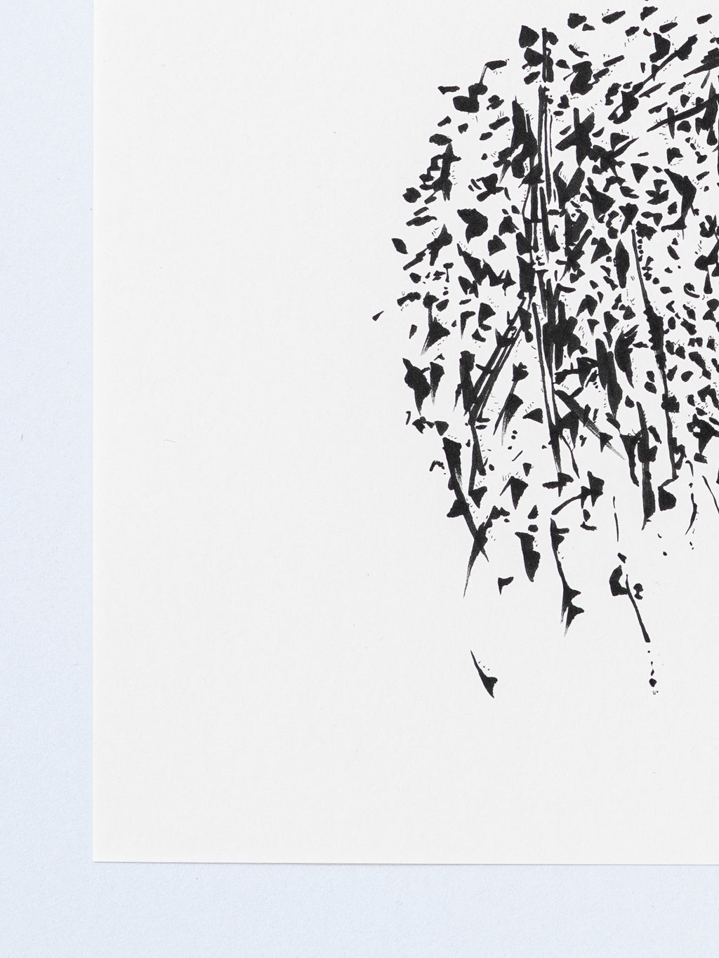2006 | 2026