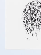 2006 | 2026
