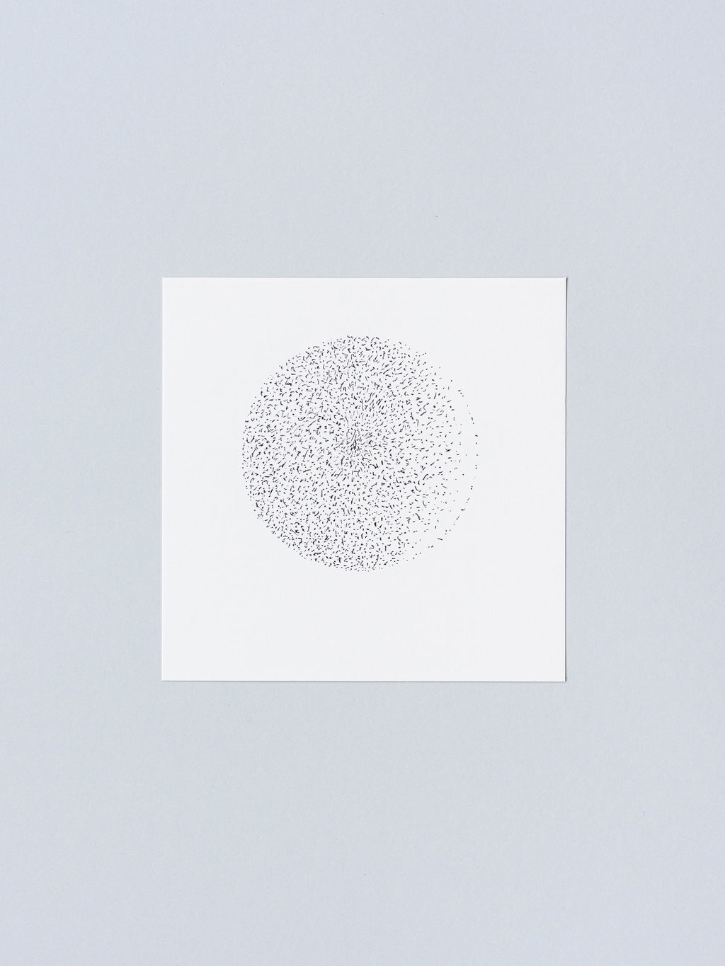 3101 | 2026
