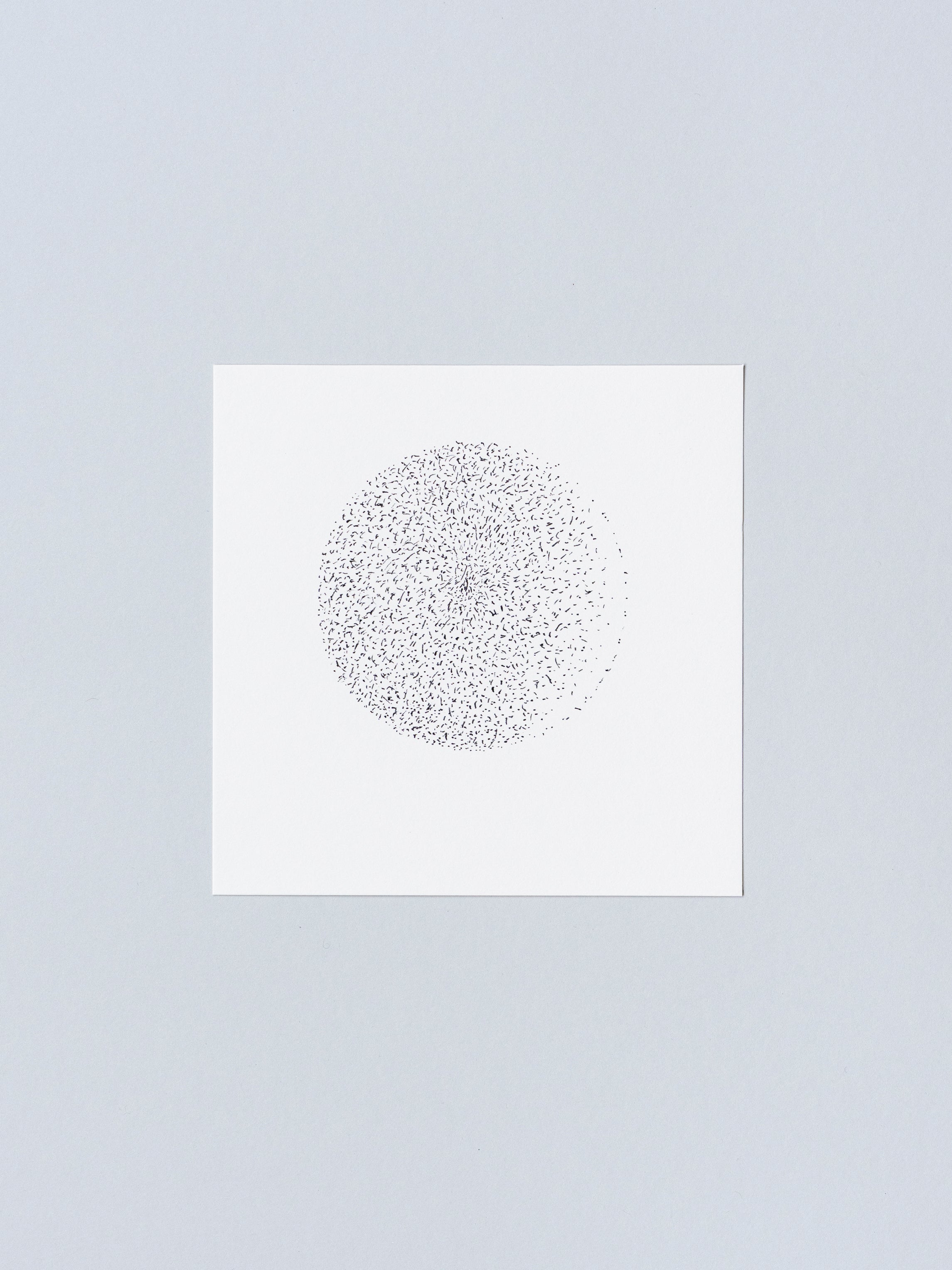 3101 | 2026